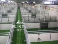 现代化家禽养殖隔断板